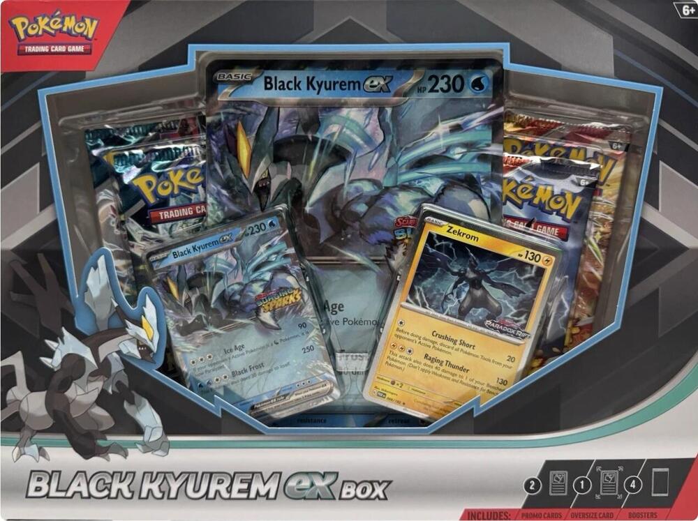 Black Kyurem ex Box - Miscellaneous Cards & Products