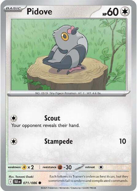 Pidove (Poke Ball Pattern) - SV: Black Bolt